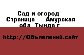  Сад и огород - Страница 2 . Амурская обл.,Тында г.